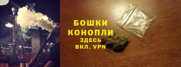 амф Вяземский