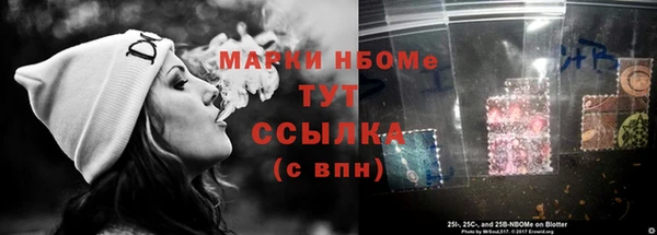 амф Вяземский