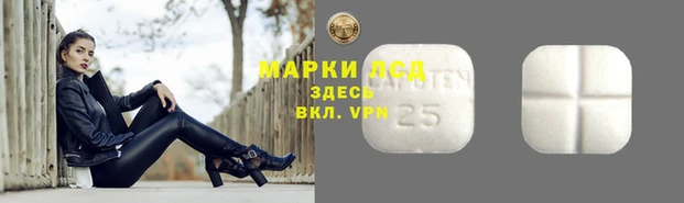 амф Вяземский