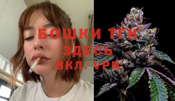 амф Вяземский