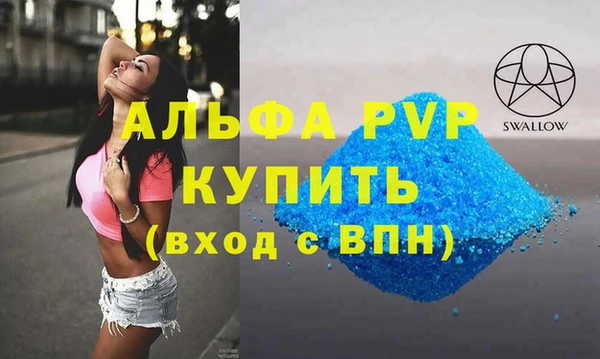 амф Вяземский