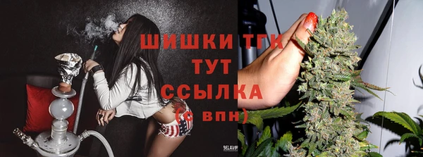 амф Вяземский